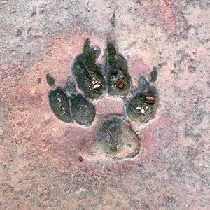 Meet your Posher, Katy